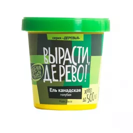 Вырасти дерево: Ель канадская голубая картинка 337956 - МосИгра
